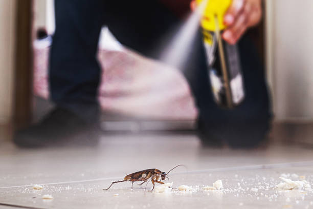 Best Residential Pest Control  in Girard, OH