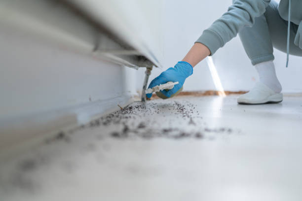 Best Pest Control for Restaurants  in Girard, OH